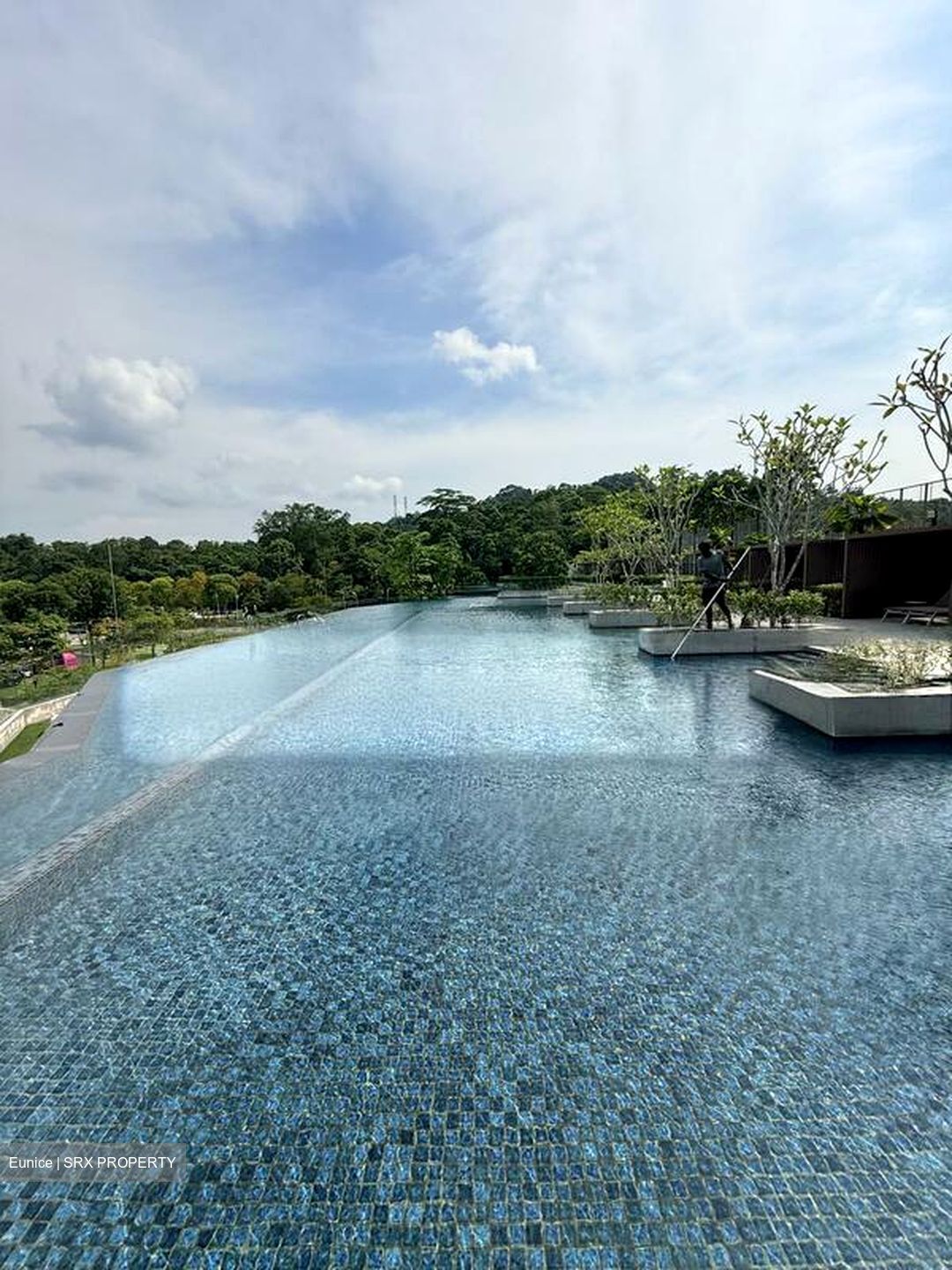 Dairy Farm Residences (D23), Apartment #503375241